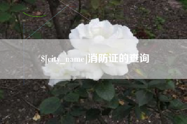 沛县消防证的查询