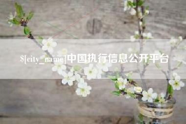 沛县中国执行信息公开平台