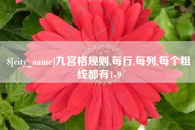 沛县九宫格规则,每行,每列,每个粗线都有1-9