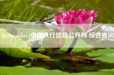 沛县中国执行信息公开网 综合查询