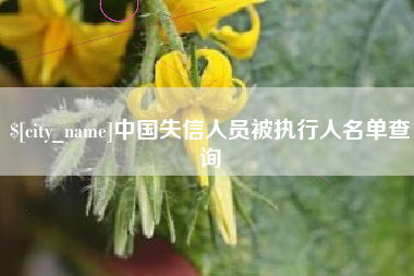 沛县中国失信人员被执行人名单查询