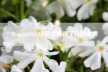 沛县中国金牌得了几枚金牌