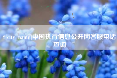 沛县中国执行信息公开网客服电话查询