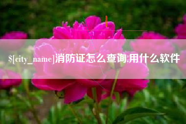 沛县消防证怎么查询,用什么软件