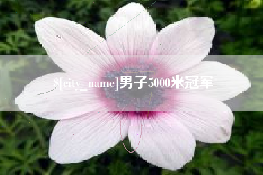 沛县男子5000米冠军