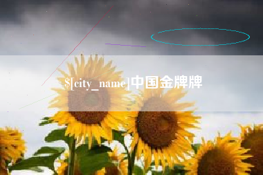 沛县中国金牌牌