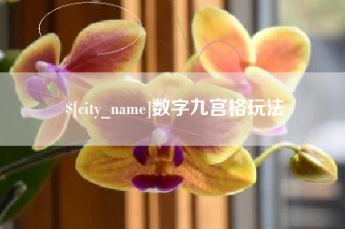沛县数字九宫格玩法