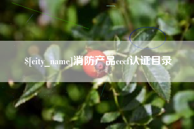 沛县消防产品cccf认证目录