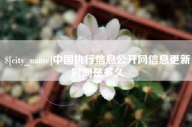 沛县中国执行信息公开网信息更新时间是多久