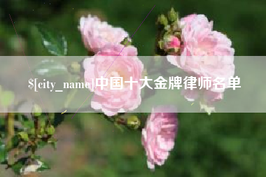 沛县中国十大金牌律师名单