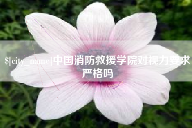 沛县中国消防救援学院对视力要求严格吗