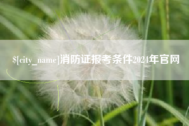 沛县消防证报考条件2024年官网