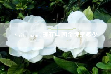 沛县现在中国金牌是多少