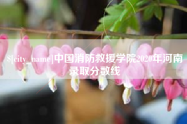 沛县中国消防救援学院2020年河南录取分数线