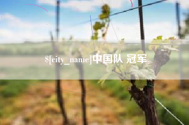 沛县中国队 冠军