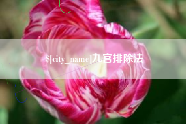 沛县九宫排除法
