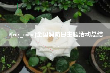 沛县全国消防日主题活动总结