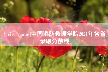 沛县中国消防救援学院2021年各省录取分数线