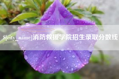 沛县消防救援学院招生录取分数线