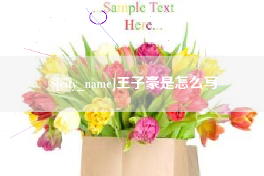 沛县王子豪是怎么写