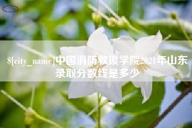 沛县中国消防救援学院2021年山东录取分数线是多少
