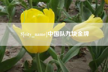 沛县中国队九块金牌