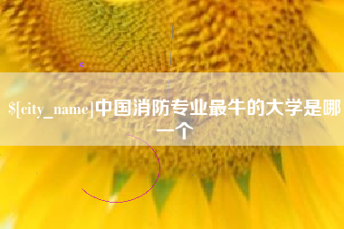 沛县中国消防专业最牛的大学是哪一个