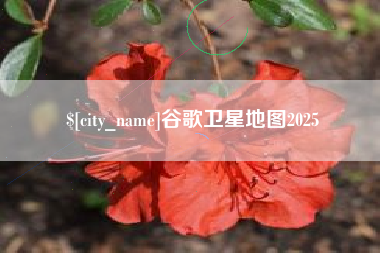 沛县谷歌卫星地图2025