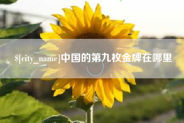沛县中国的第九枚金牌在哪里