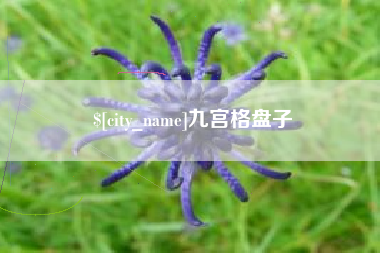 沛县九宫格盘子