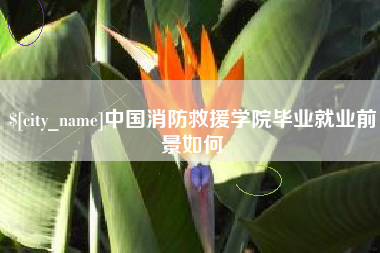 沛县中国消防救援学院毕业就业前景如何