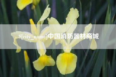 沛县中国消防器材商城
