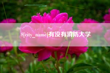 沛县有没有消防大学