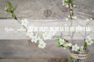 沛县国家消防救援队伍报名网址
