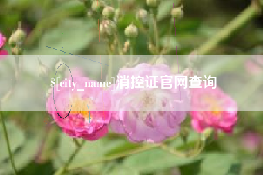 沛县消控证官网查询