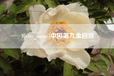 沛县中国第九金回放