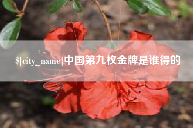 沛县中国第九枚金牌是谁得的