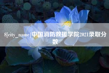 沛县中国消防救援学院2021录取分数