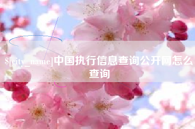 沛县中国执行信息查询公开网怎么查询