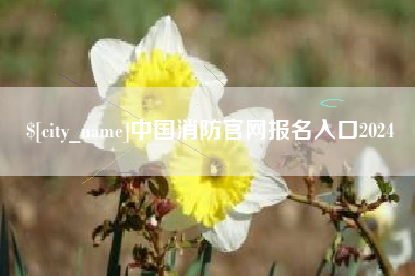 沛县中国消防官网报名入口2024