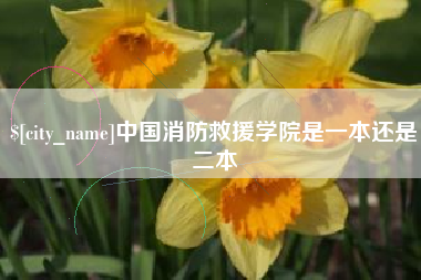 沛县中国消防救援学院是一本还是二本