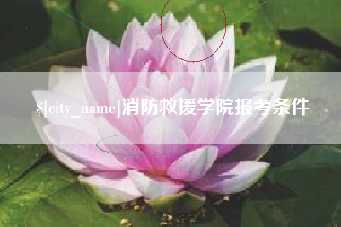 沛县消防救援学院报考条件