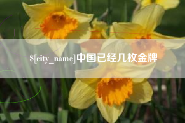 沛县中国已经几枚金牌