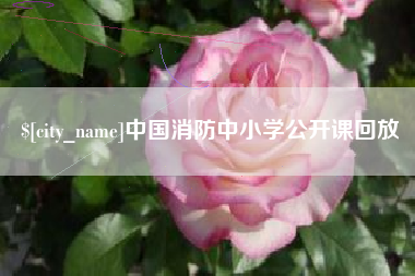 沛县中国消防中小学公开课回放