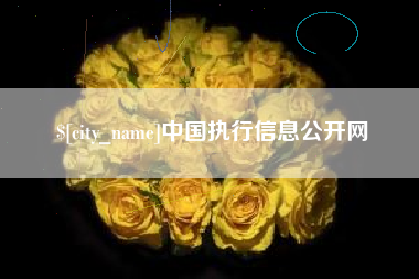 沛县中国执行信息公开网