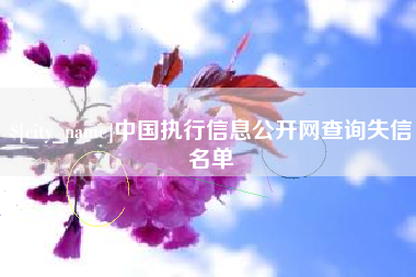 沛县中国执行信息公开网查询失信名单