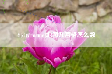 沛县地图九宫格怎么数