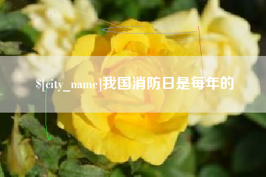 沛县我国消防日是每年的
