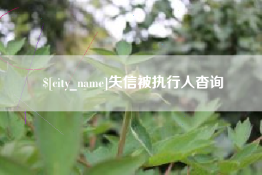 沛县失信被执行人杳询