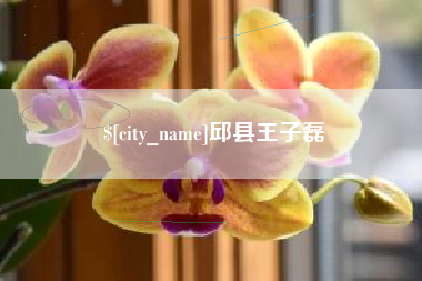 沛县邱县王子磊